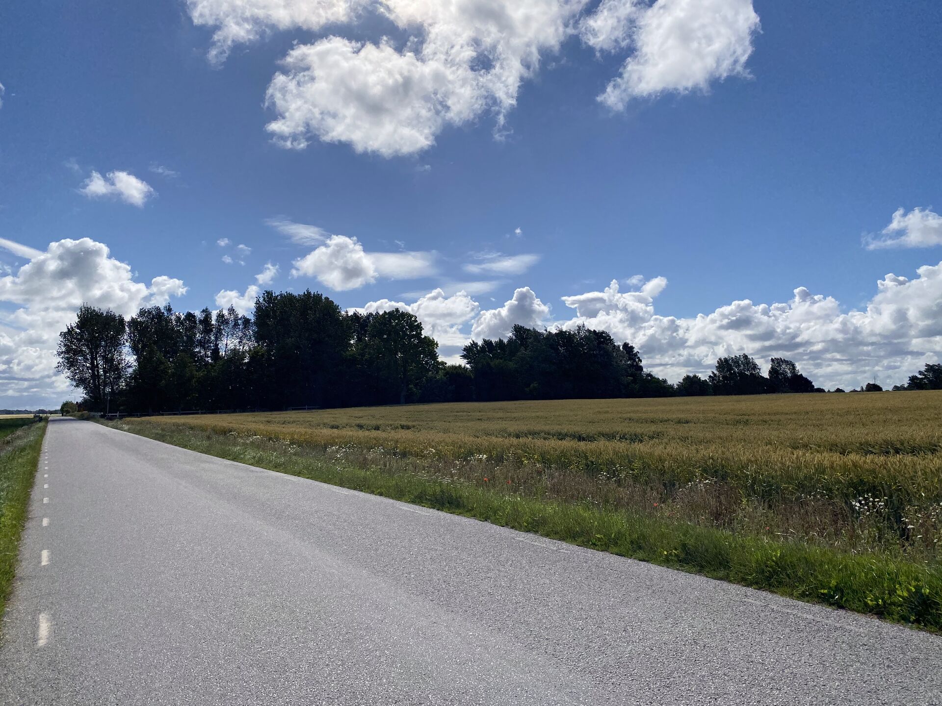 Instructions how to get to the Blue House